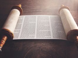 Chavouot : Recevoir la Torah pour se reconstruire Torah
