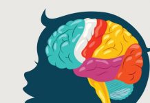 L’importance du temps dans l’éducation selon la Torah éducation précoce