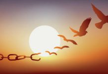 Le regard juif sur la techouva quotidienne : Une techouva jamais terminée libre arbitre 2