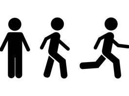 L’enseignement du Omer : du chaos intérieur vers l’ordre et la maîtrise marche