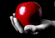 L’éducation juive face aux tentations modernes tentations