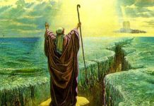 Le modèle de Moché Rabbénou : l’éducateur exemplaire selon la Torah Moshe Rabbenou