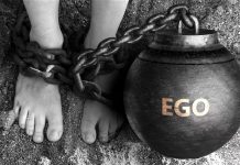 Le Bitoul et l’Addiction : Se Libérer de l’Ego et des Pulsions ego