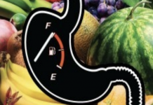 Manger sans faim – Comprendre la compulsion manger sans faim