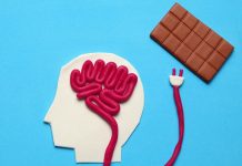 Les aliments comme moyen de récompense chez les adultes aliment et récompense