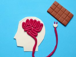 Les aliments comme moyen de récompense chez les adultes aliment et récompense