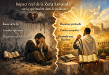 Impact réel de la Zera Levatala sur la spiritualité Impact de la Zera Levatala