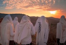 La Torah valorise-t-elle la sobriété pour les dirigeants et les prêtres ? exemplarité