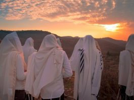 La Torah valorise-t-elle la sobriété pour les dirigeants et les prêtres ? exemplarité