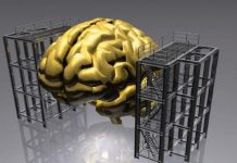 Guérir l’imagination envahissante selon la Torah mental