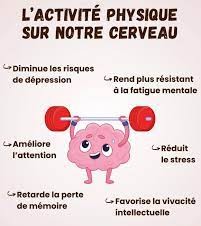 sport et cerveau
